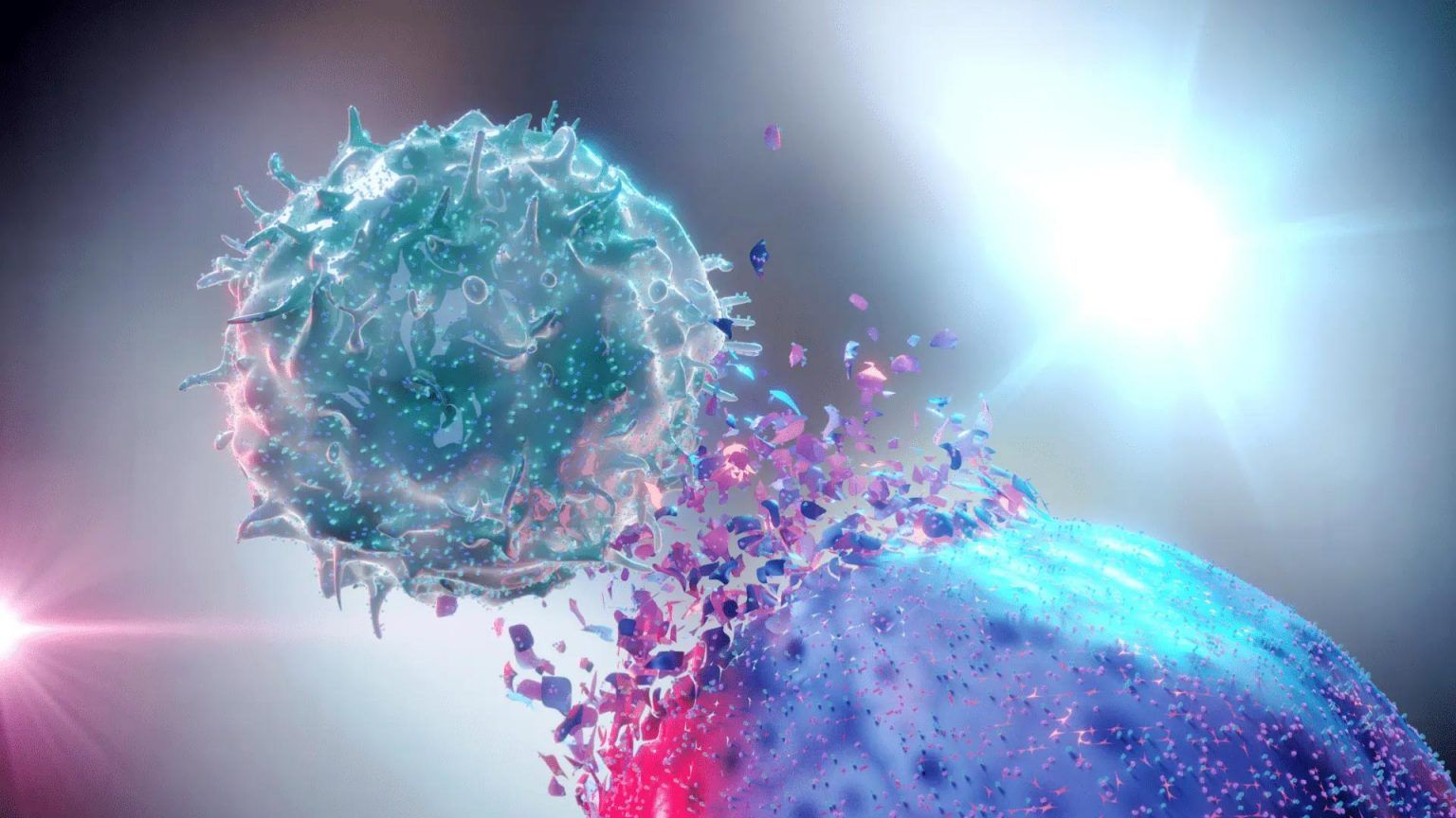 Natural-Killer-Cell-Destorying-Cancer-Cell-Illustration-1536x864.jpg